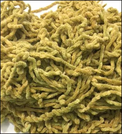 Algae Cotton Chenille - Lady Dots Creates Finishing Trims