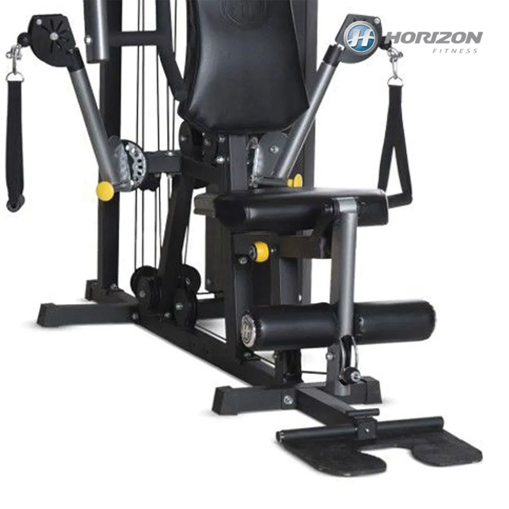 Aparat fitness multifunctional HORIZON TORUS 3