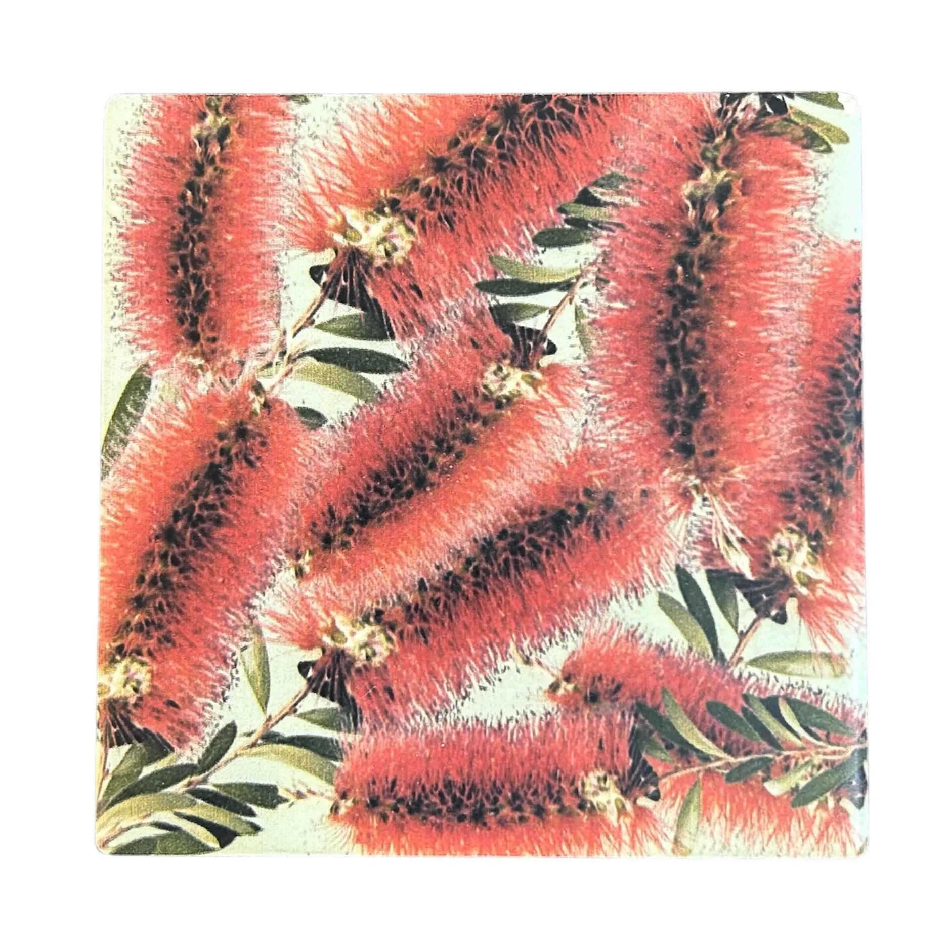 Australian Flora Coaster