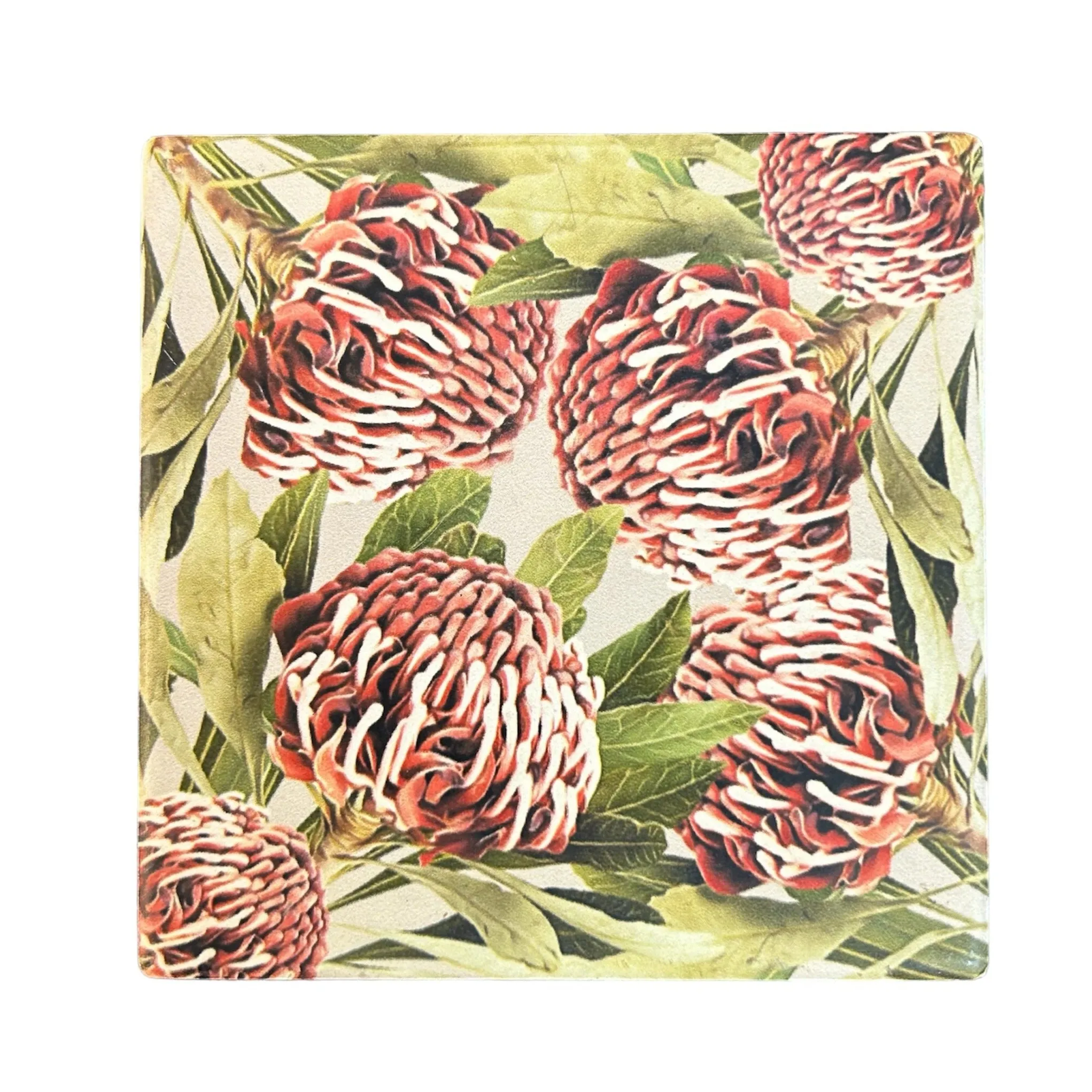 Australian Flora Coaster