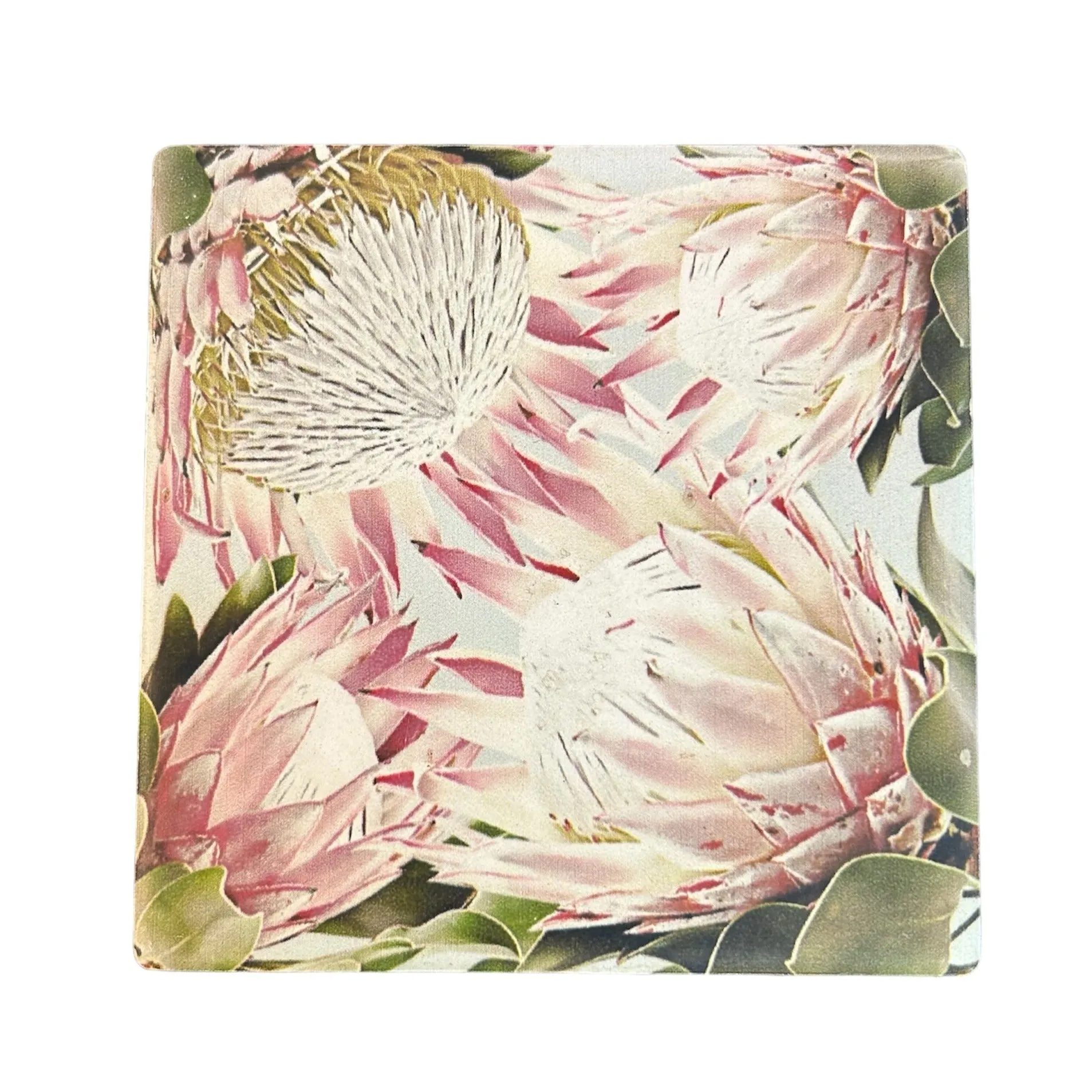 Australian Flora Coaster
