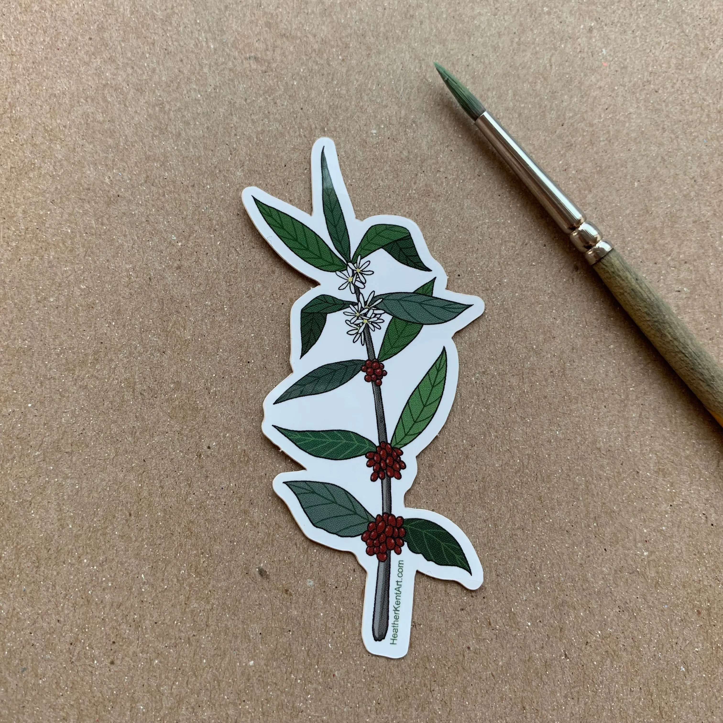 Coffee Plant Print Sticker, Vinyl Sticker, 3 inch, FREE SHIPPING
