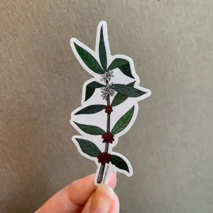 Coffee Plant Print Sticker, Vinyl Sticker, 3 inch, FREE SHIPPING