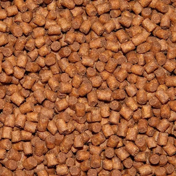 DNA Baits BetaStim 6mm Pellets