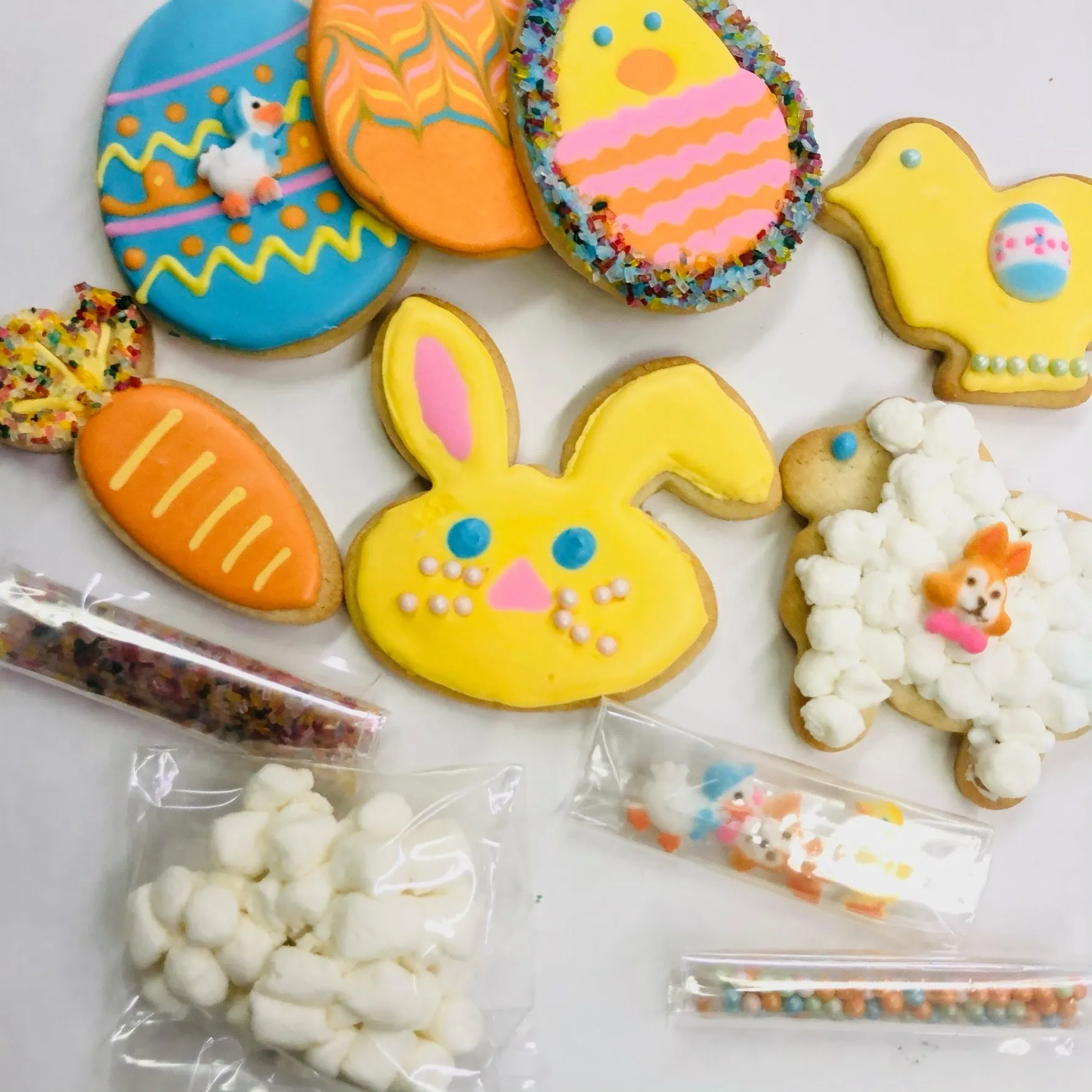 Easter Cookie Decorating Kit