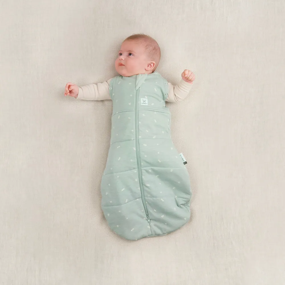 ergoPouch - Organic Cocoon Swaddle Bag 2.5 TOG