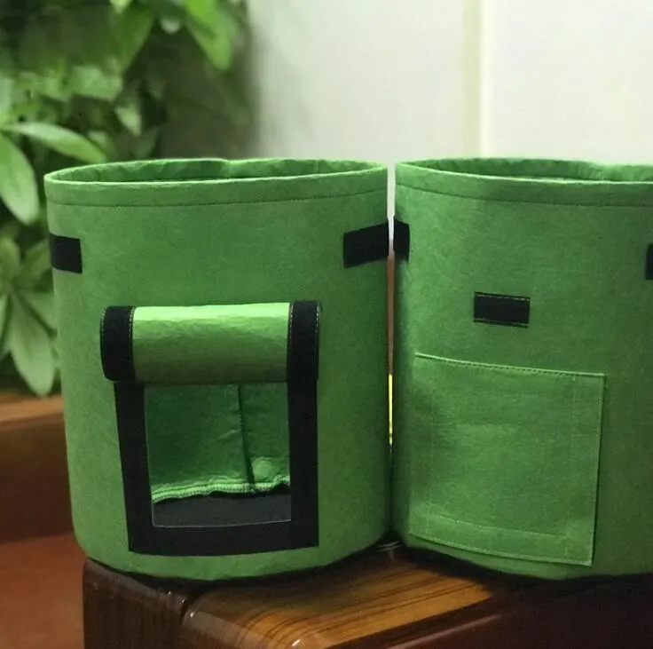 GardenTaste™ Tuber Vegetables Growing Bag