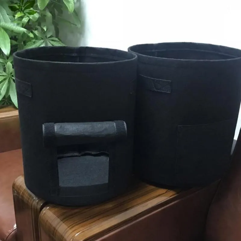 GardenTaste™ Tuber Vegetables Growing Bag