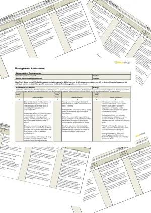 Management Assessment Template