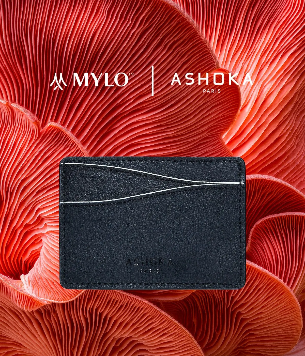 Mylo™️ Vegan Mushroom Leather Card Holder | White