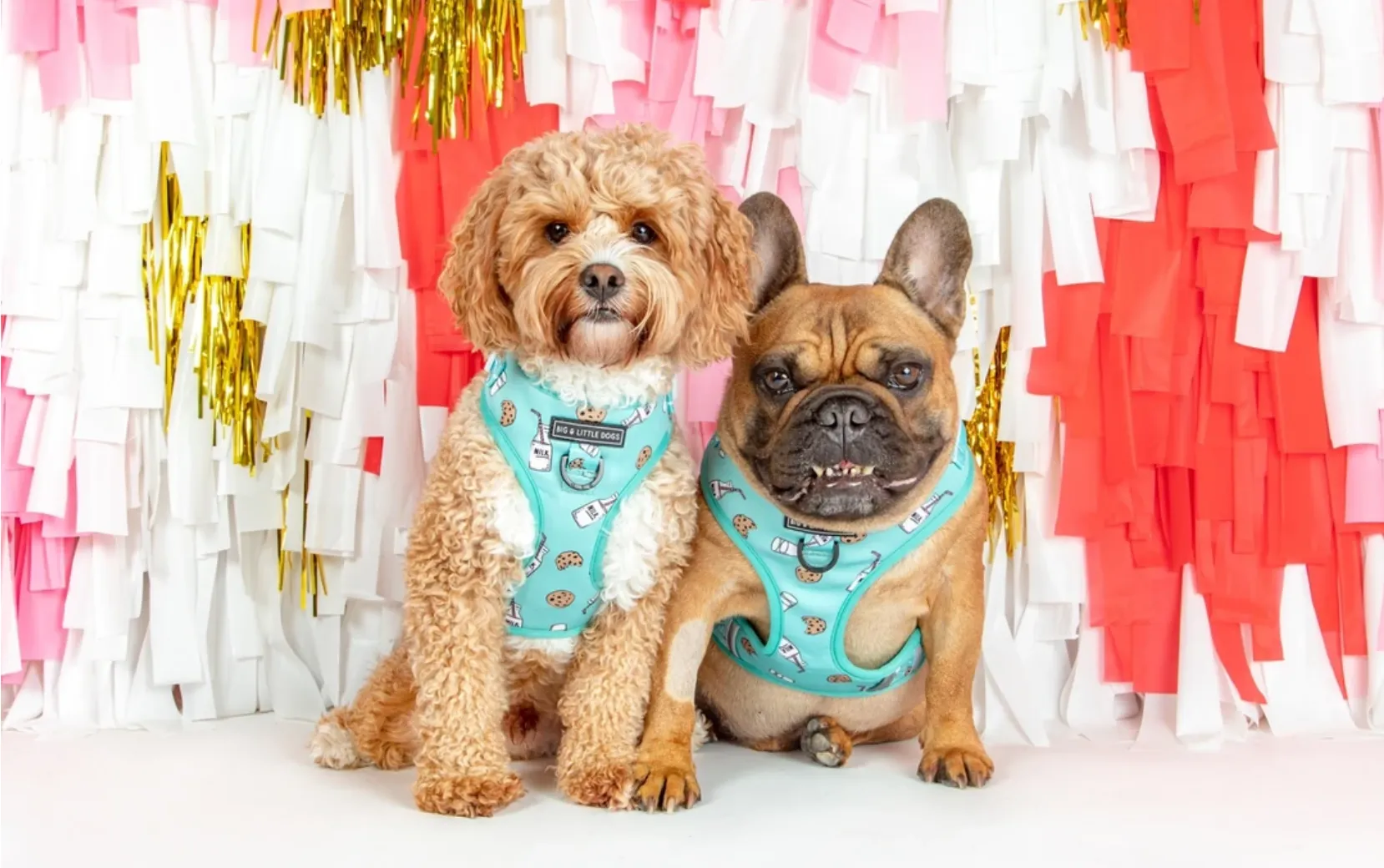 "Milk & Cookies" Adjustable Harness