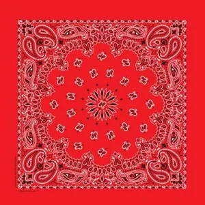 Red Paisley Bandana