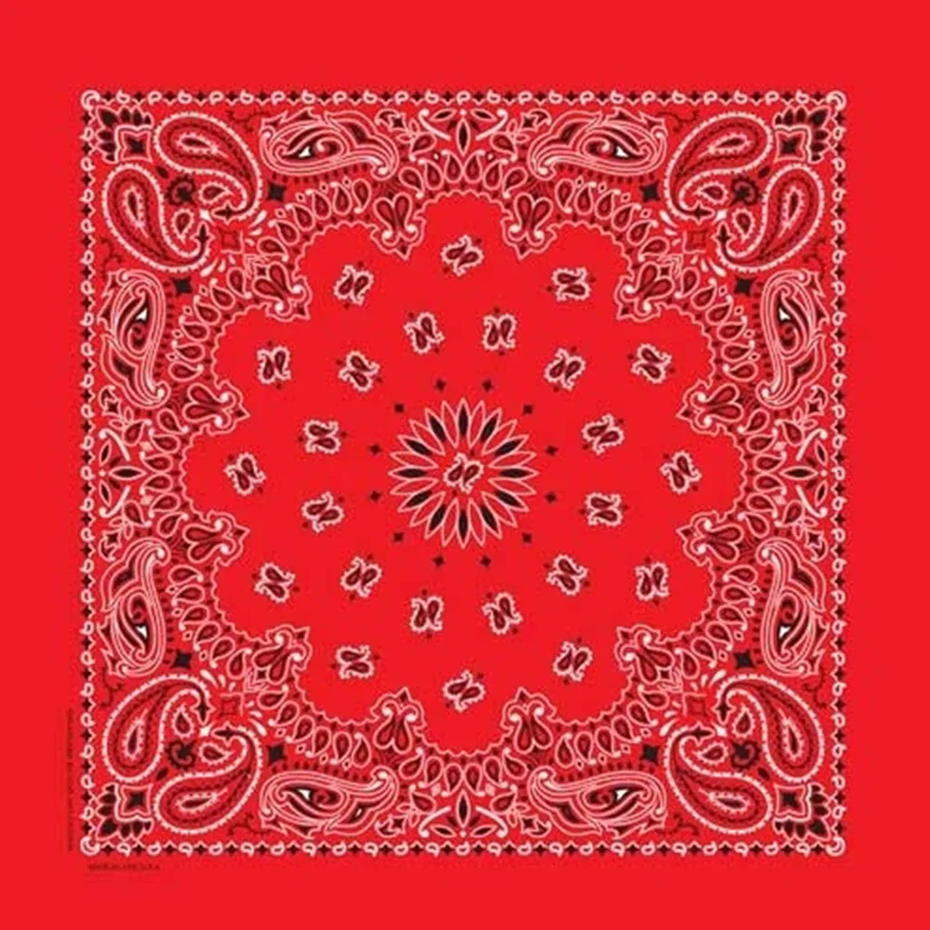 Red Paisley Bandana
