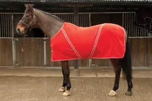 Rhinegold Comfey Fleece Rug