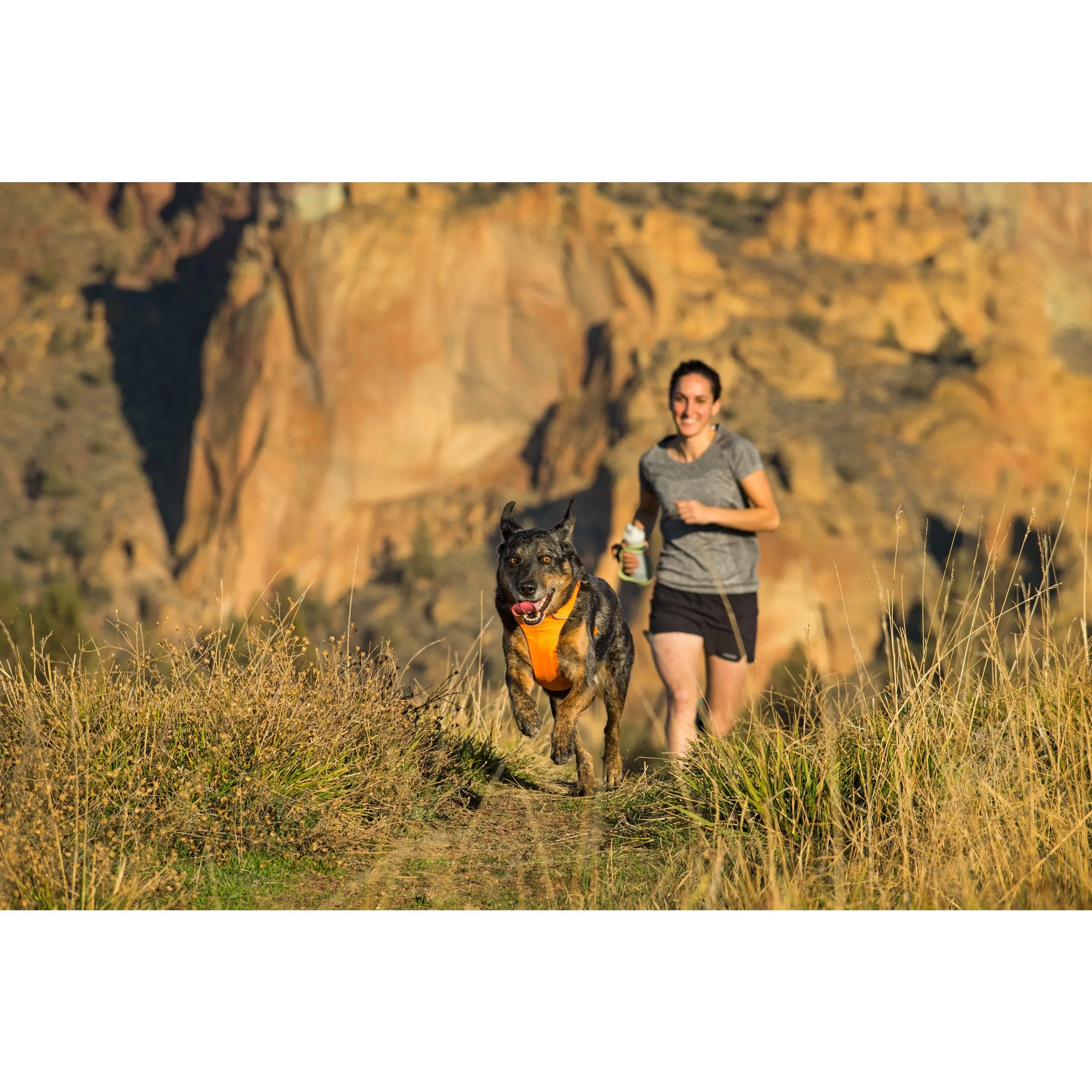 Ruffwear® | Front Range™ Harness