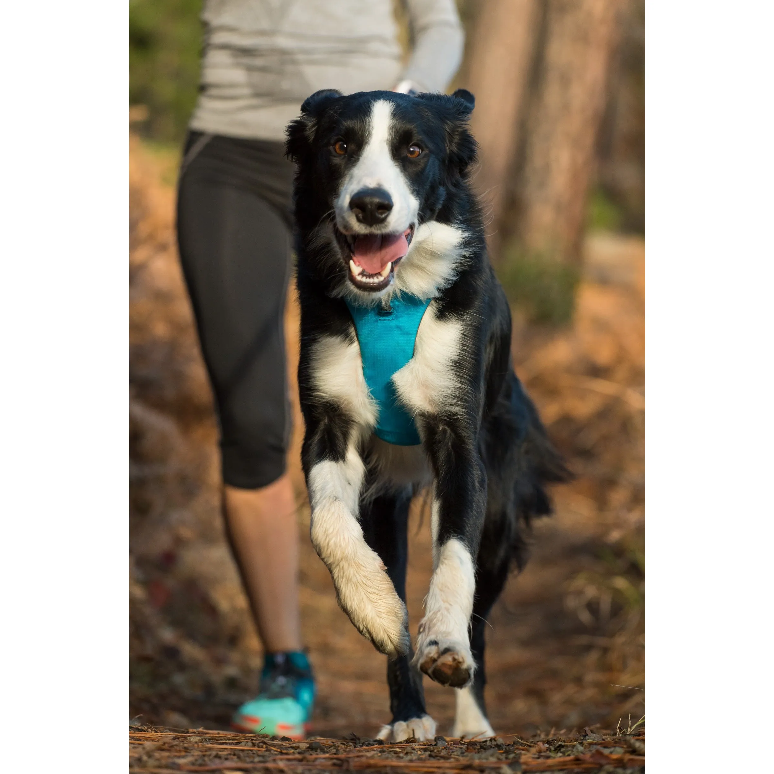 Ruffwear® | Front Range™ Harness