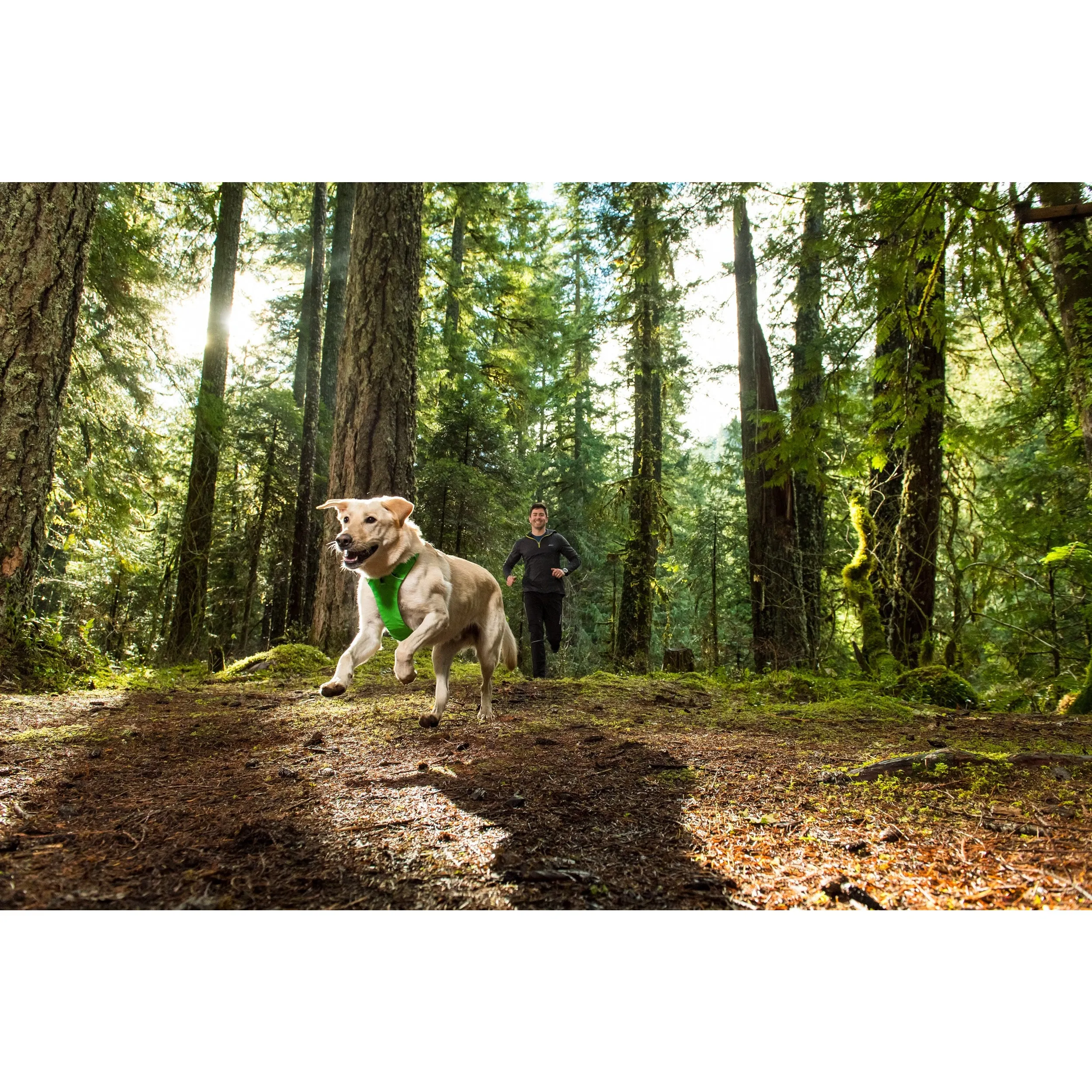 Ruffwear® | Front Range™ Harness