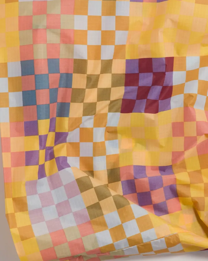 Standard Baggu Check Multi