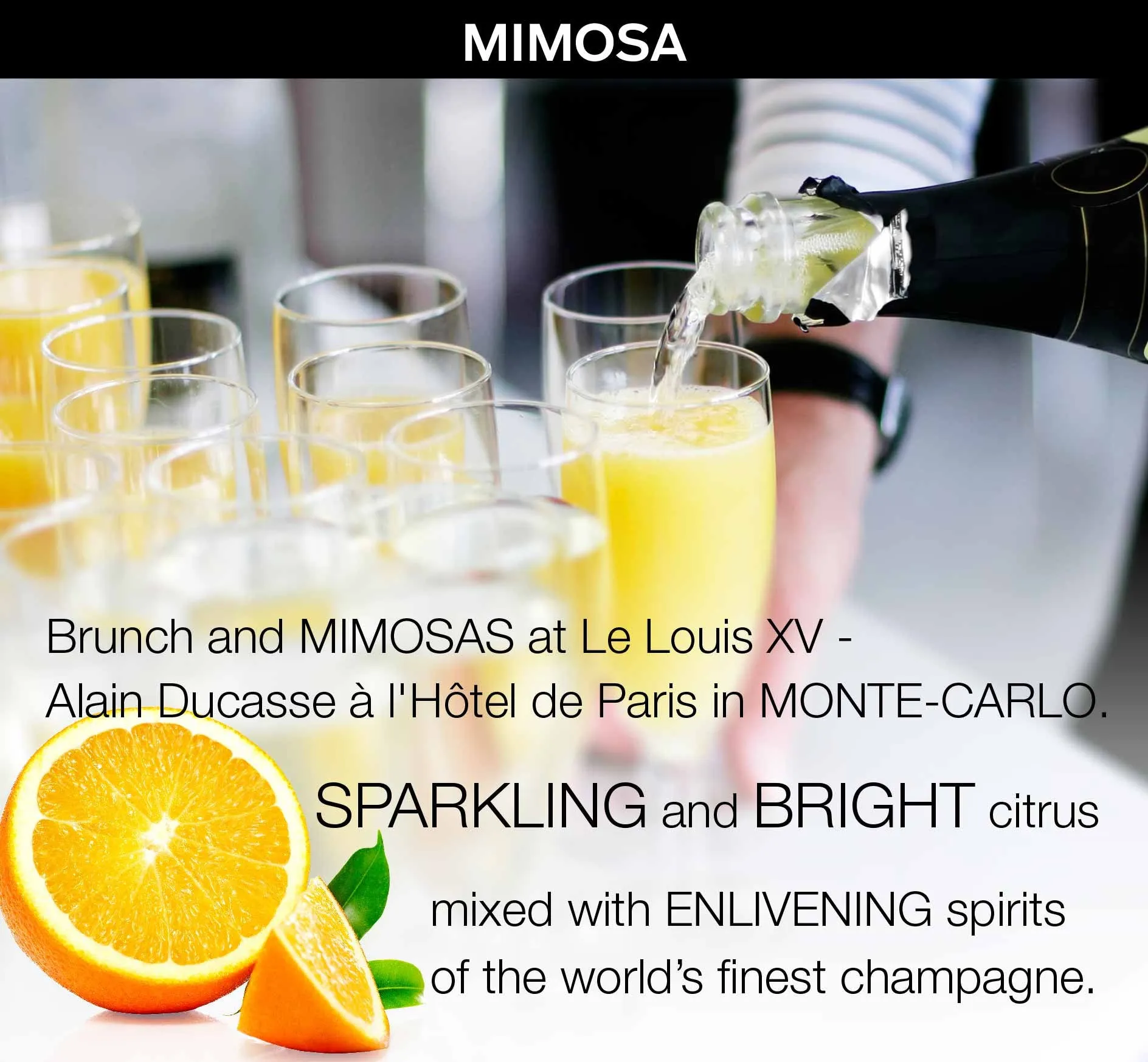 Travel (all-in-one) in MIMOSA (citrus   champagne)