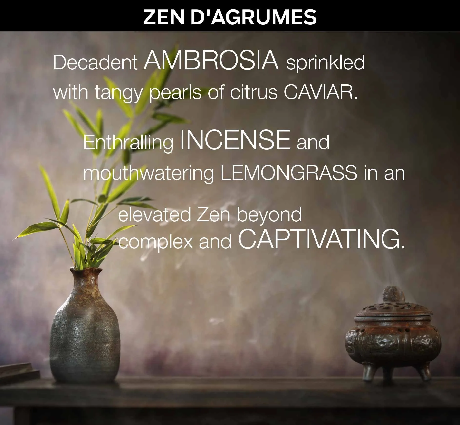 Travel (all-in-one) in ZEN D'AGRUMES (incense   lemongrass)